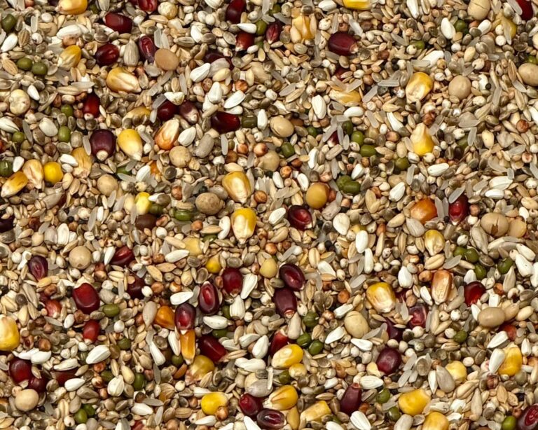 105619c7b298769ec6958151650dc8b097259322
