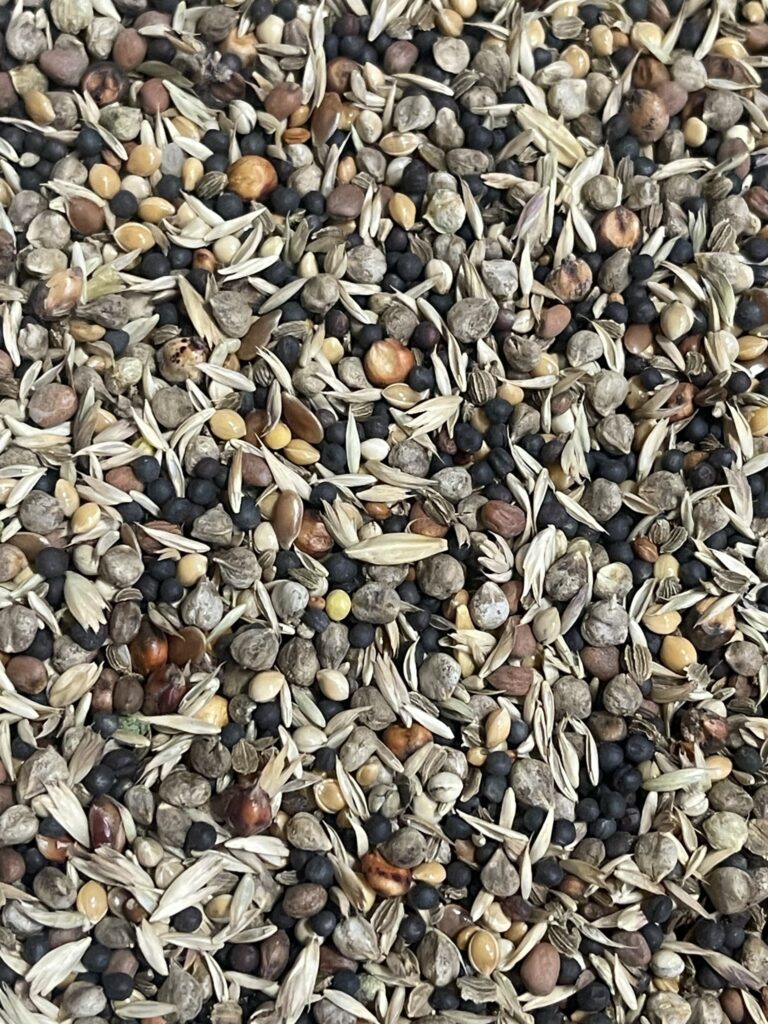175911-health-seed-extra_2
