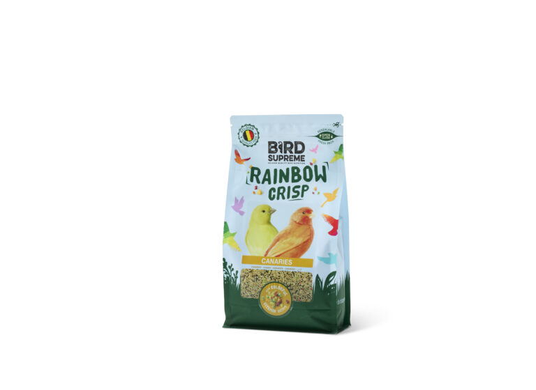 A_Bird Supreme Rainbow Crisp Canaries 900_170797