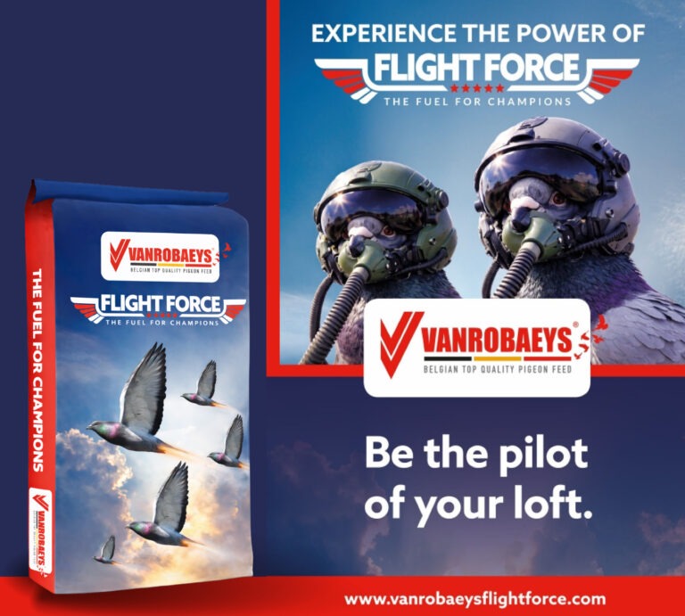 FLIGHT FORCE