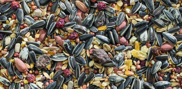 Garden-Buffet-Energy_1-cmyk-OL-1-1024x500