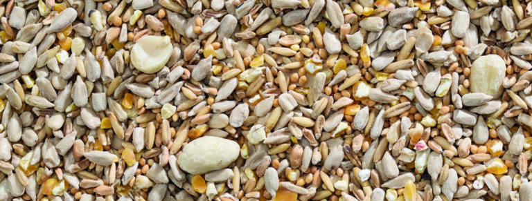 Garden-Buffet-No-Mess_1-cmyk-OL-1024x388