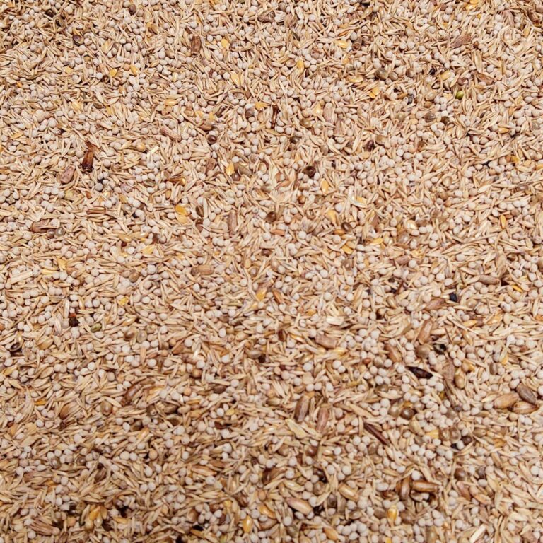 carduelis-gold-excellent-174516