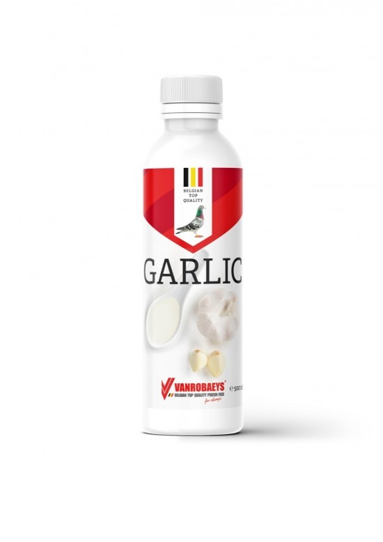 aglio_mockupa4