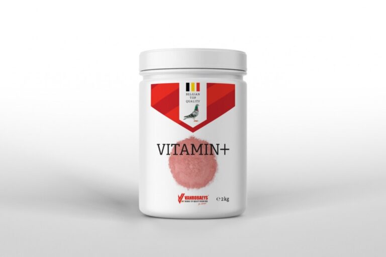 mockup-vitamin-pot