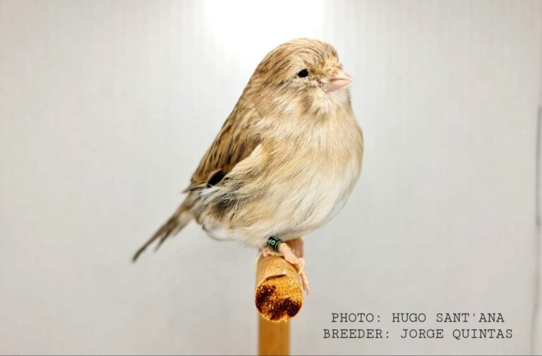 photo-2025-1 (1)