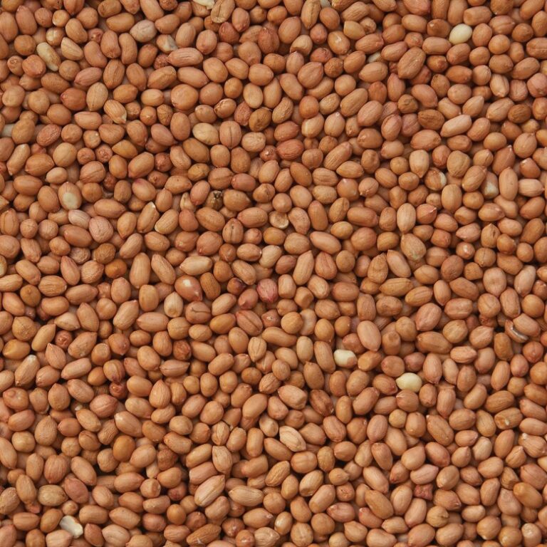 pindanootjes-bruin