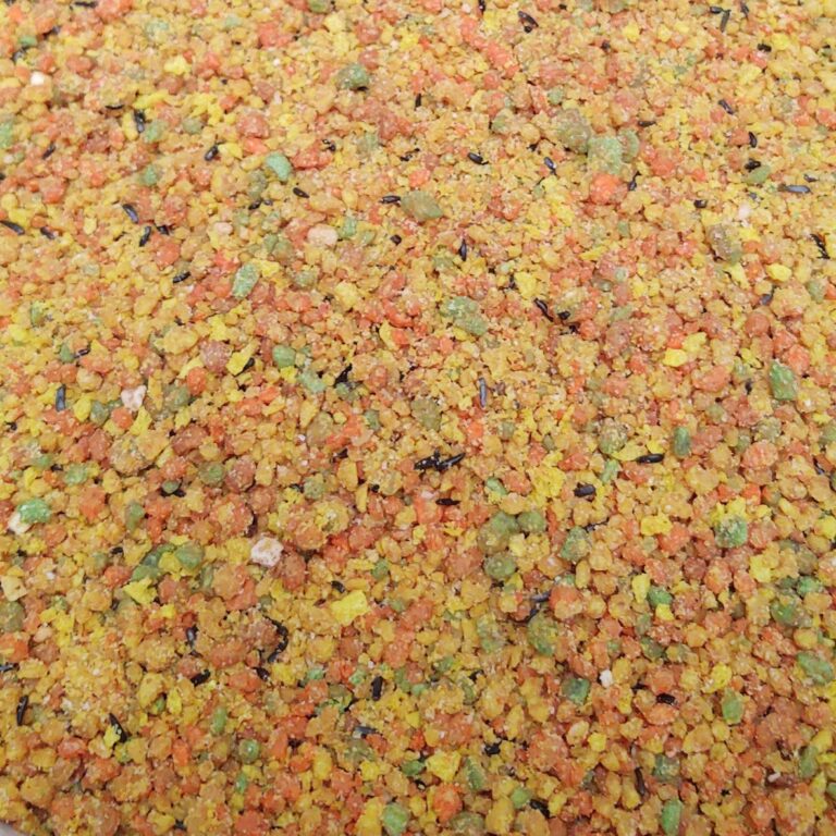 tuttifrutti2