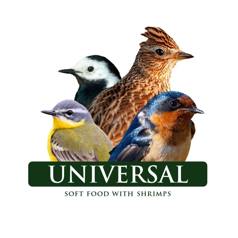 universal1