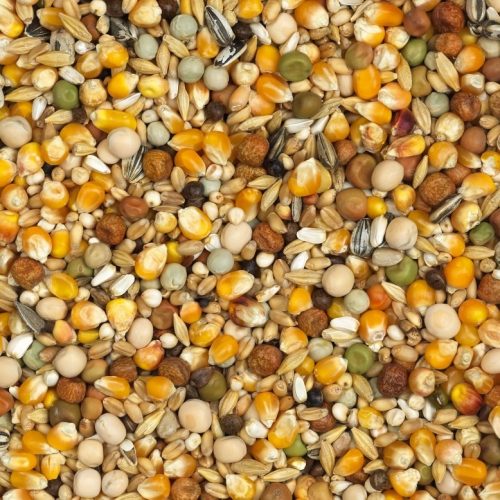 13-super-spec-moult