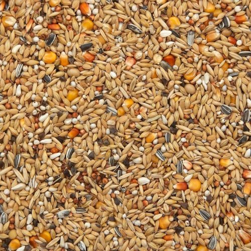 16-winterrust