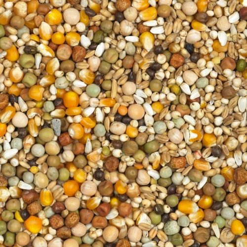 20-سوبر-خاص-تربية