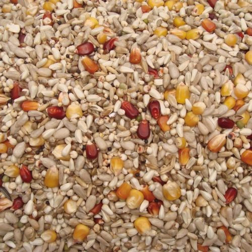 35-توب-إنرجي