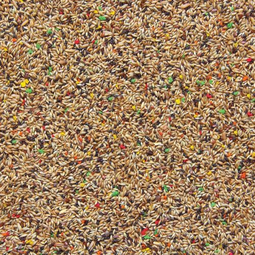 498-kanarie-colormix
