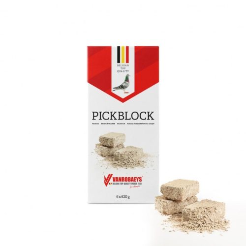 mockup-pikkoek-02