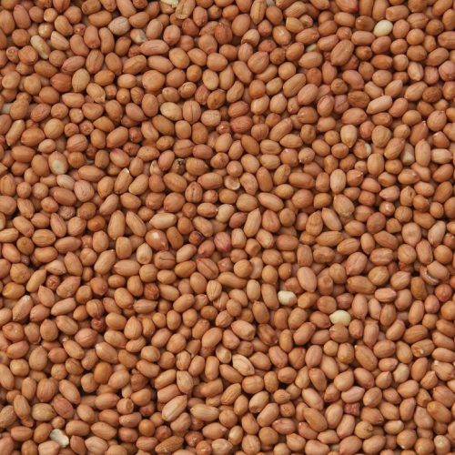 pindanootjes-bruin