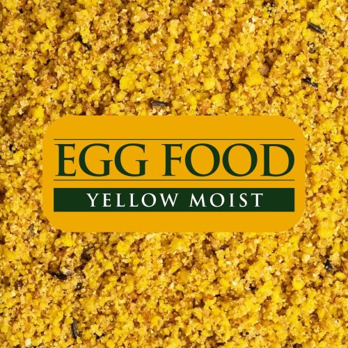 yellowmoist2